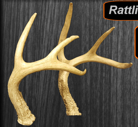 rattling,antlers,rattle,horns,rattle horns,deer antler