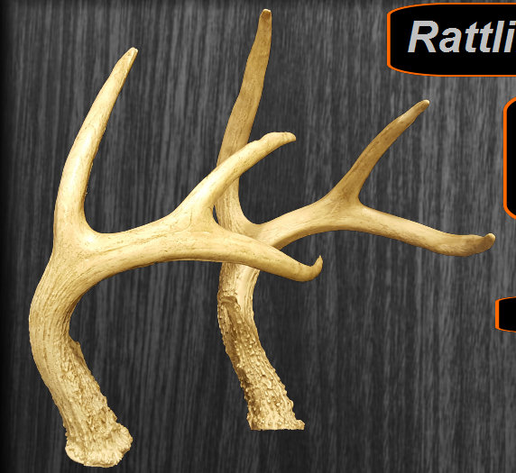 rattling,antlers,rattle,horns,rattle horns,deer antler